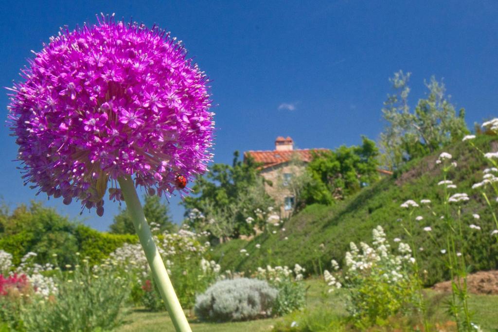 לורו צ'יופנה Odina Agriturismo מראה חיצוני תמונה